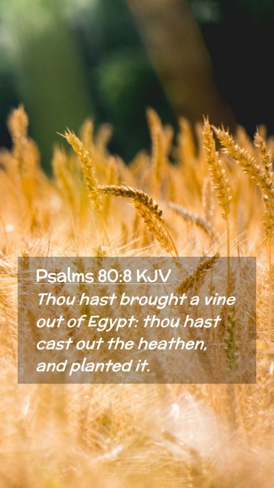 Picture 02 - Psalms 80:8 KJV Mobile Phone Wallpaper - Thou hast brought a vine out of Egypt: thou hast - Mobile Bible Verse Wallpaper