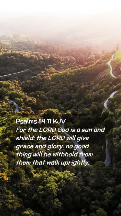 Picture 02 - Psalms 84:11 KJV Mobile Phone Wallpaper - For the LORD God is a sun and shield: the LORD - Mobile Bible Verse Wallpaper