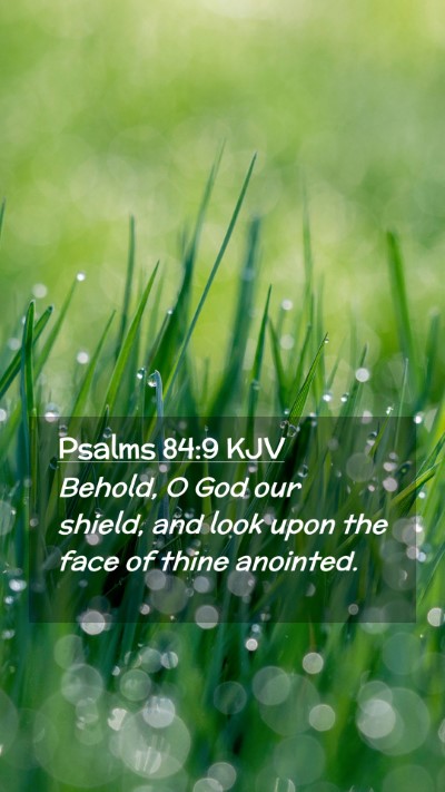 Picture 02 - Psalms 84:9 KJV Mobile Phone Wallpaper - Behold, O God our shield, and look upon the face - Mobile Bible Verse Wallpaper