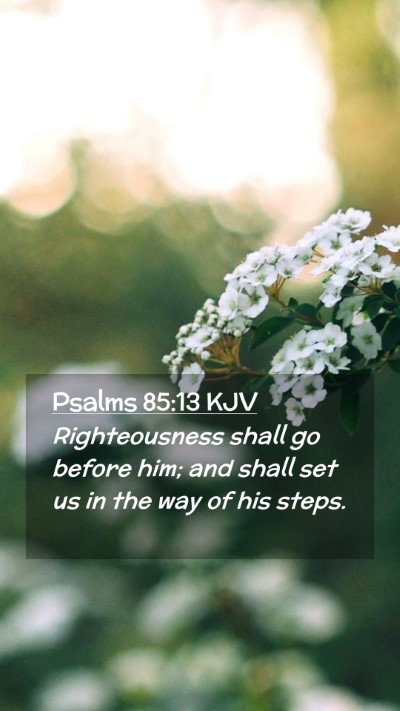 Picture 02 - Psalms 85:13 KJV Mobile Phone Wallpaper - Righteousness shall go before him; and shall set - Mobile Bible Verse Wallpaper