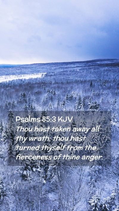 Picture 02 - Psalms 85:3 KJV Mobile Phone Wallpaper - Thou hast taken away all thy wrath: thou hast - Mobile Bible Verse Wallpaper