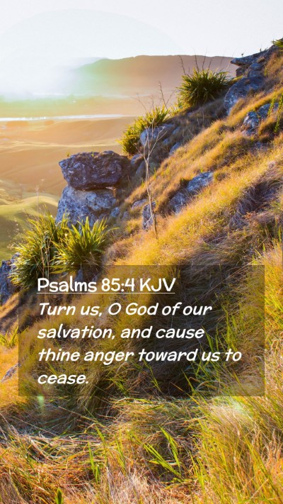 Picture 02 - Psalms 85:4 KJV Mobile Phone Wallpaper - Turn us, O God of our salvation, and cause thine - Mobile Bible Verse Wallpaper