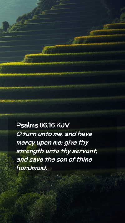 Picture 02 - Psalms 86:16 KJV Mobile Phone Wallpaper - O turn unto me, and have mercy upon me; give thy - Mobile Bible Verse Wallpaper