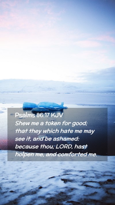 Picture 02 - Psalms 86:17 KJV Mobile Phone Wallpaper - Shew me a token for good; that they which hate me - Mobile Bible Verse Wallpaper