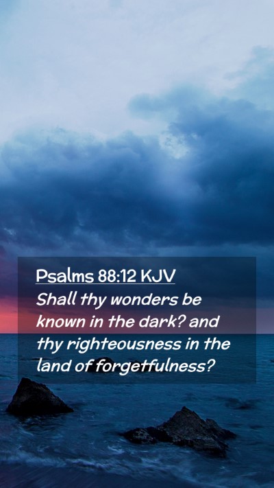 Picture 02 - Psalms 88:12 KJV Mobile Phone Wallpaper - Shall thy wonders be known in the dark? and thy - Mobile Bible Verse Wallpaper