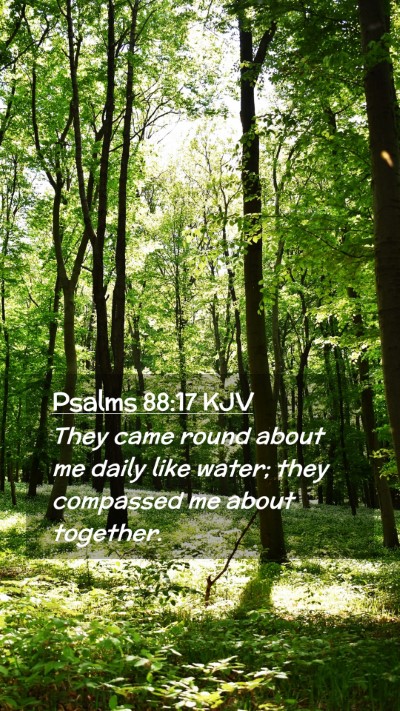 Picture 02 - Psalms 88:17 KJV Mobile Phone Wallpaper - They came round about me daily like water; they - Mobile Bible Verse Wallpaper