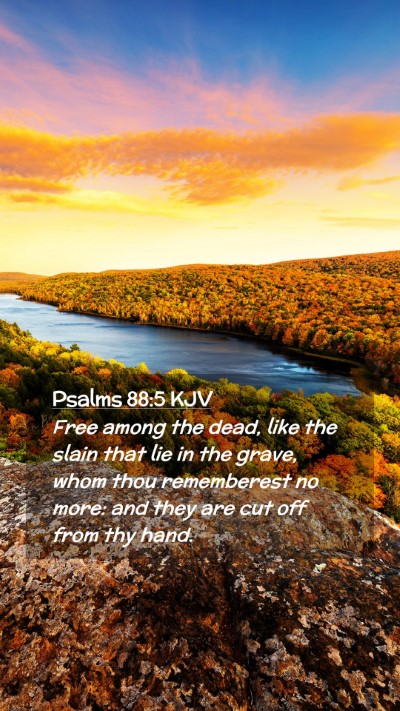 Picture 02 - Psalms 88:5 KJV Mobile Phone Wallpaper - Free among the dead, like the slain that lie in - Mobile Bible Verse Wallpaper