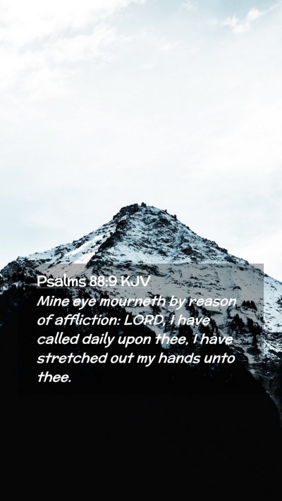 Picture 02 - Psalms 88:9 KJV Mobile Phone Wallpaper - Mine eye mourneth by reason of affliction: LORD, - Mobile Bible Verse Wallpaper