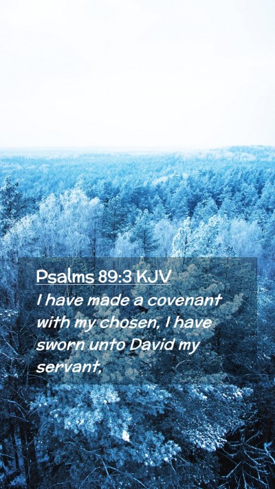 Picture 02 - Psalms 89:3 KJV Mobile Phone Wallpaper - I have made a covenant with my chosen, I have - Mobile Bible Verse Wallpaper