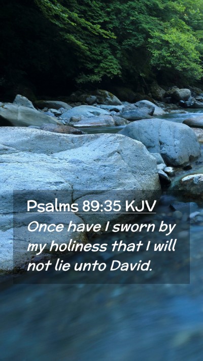 Picture 02 - Psalms 89:35 KJV Mobile Phone Wallpaper - Once have I sworn by my holiness that I will not - Mobile Bible Verse Wallpaper