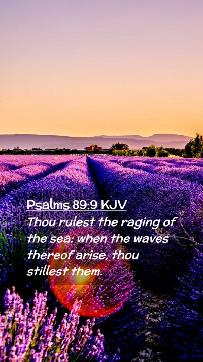 Picture 02 - Psalms 89:9 KJV Mobile Phone Wallpaper - Thou rulest the raging of the sea: when the waves - Mobile Bible Verse Wallpaper