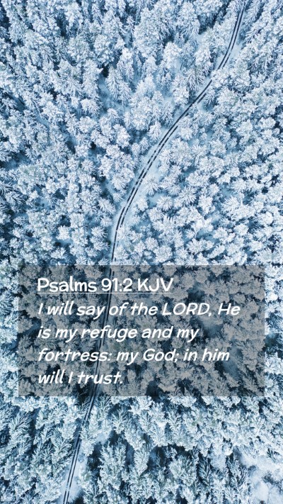 Picture 02 - Psalms 91:2 KJV Mobile Phone Wallpaper - I will say of the LORD, He is my refuge and my - Mobile Bible Verse Wallpaper