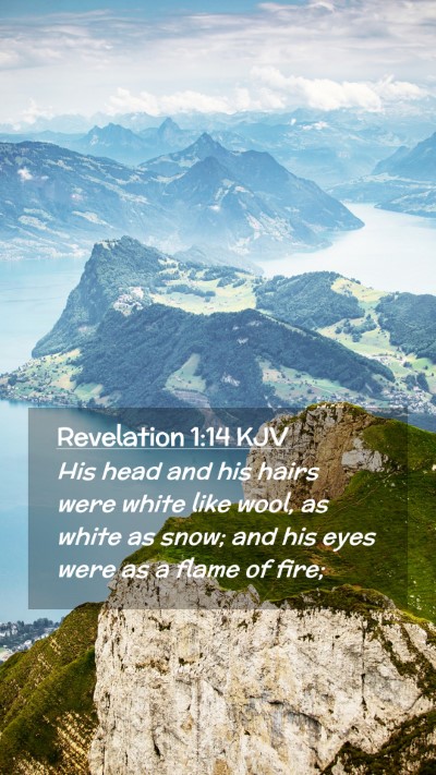 Picture 02 - Revelation 1:14 KJV Mobile Phone Wallpaper - His head and his hairs were white like wool, as - Mobile Bible Verse Wallpaper