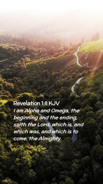 Picture 02 - Revelation 1:8 KJV Mobile Phone Wallpaper - I am Alpha and Omega, the beginning and the - Mobile Bible Verse Wallpaper