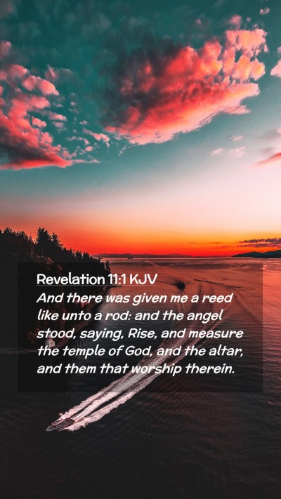 Picture 02 - Revelation 11:1 KJV Mobile Phone Wallpaper - And there was given me a reed like unto a rod: - Mobile Bible Verse Wallpaper