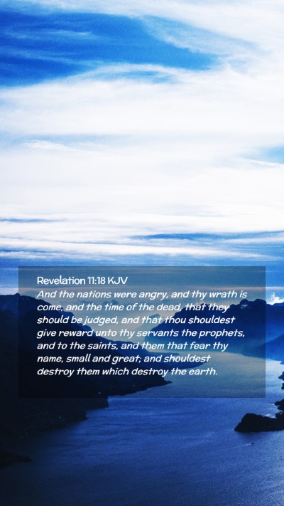 Picture 02 - Revelation 11:18 KJV Mobile Phone Wallpaper - And the nations were angry, and thy wrath is - Mobile Bible Verse Wallpaper