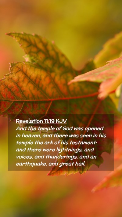 Picture 02 - Revelation 11:19 KJV Mobile Phone Wallpaper - And the temple of God was opened in heaven, and - Mobile Bible Verse Wallpaper