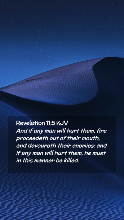 Picture 02 - Revelation 11:5 KJV Mobile Phone Wallpaper - And if any man will hurt them, fire proceedeth - Mobile Bible Verse Wallpaper