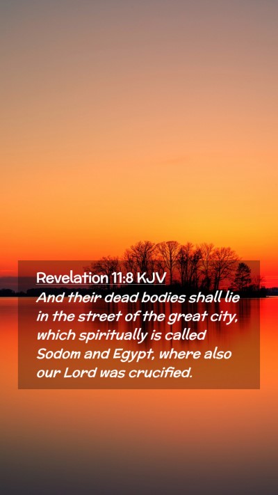 Picture 02 - Revelation 11:8 KJV Mobile Phone Wallpaper - And their dead bodies shall lie in the street of - Mobile Bible Verse Wallpaper