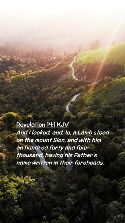 Picture 02 - Revelation 14:1 KJV Mobile Phone Wallpaper - And I looked, and, lo, a Lamb stood on the mount - Mobile Bible Verse Wallpaper