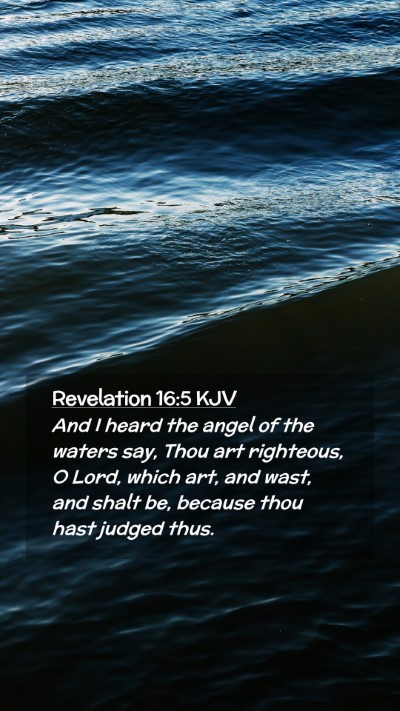 Picture 02 - Revelation 16:5 KJV Mobile Phone Wallpaper - And I heard the angel of the waters say, Thou art - Mobile Bible Verse Wallpaper