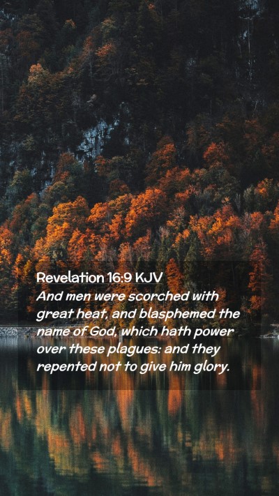 Picture 02 - Revelation 16:9 KJV Mobile Phone Wallpaper - And men were scorched with great heat, and - Mobile Bible Verse Wallpaper