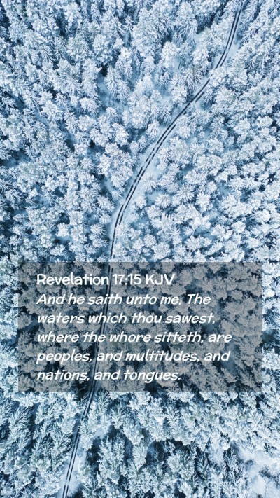 Picture 02 - Revelation 17:15 KJV Mobile Phone Wallpaper - And he saith unto me, The waters which thou - Mobile Bible Verse Wallpaper