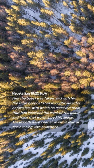 Picture 02 - Revelation 19:20 KJV Mobile Phone Wallpaper - And the beast was taken, and with him the false - Mobile Bible Verse Wallpaper