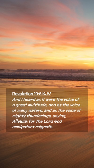 Picture 02 - Revelation 19:6 KJV Mobile Phone Wallpaper - And I heard as it were the voice of a great - Mobile Bible Verse Wallpaper