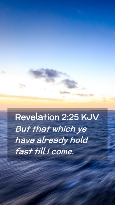 Picture 02 - Revelation 2:25 KJV Mobile Phone Wallpaper - But that which ye have already hold fast till I - Mobile Bible Verse Wallpaper