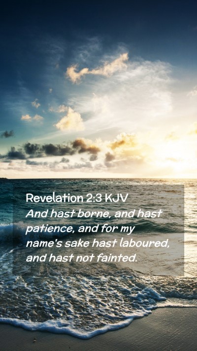 Picture 02 - Revelation 2:3 KJV Mobile Phone Wallpaper - And hast borne, and hast patience, and for my - Mobile Bible Verse Wallpaper