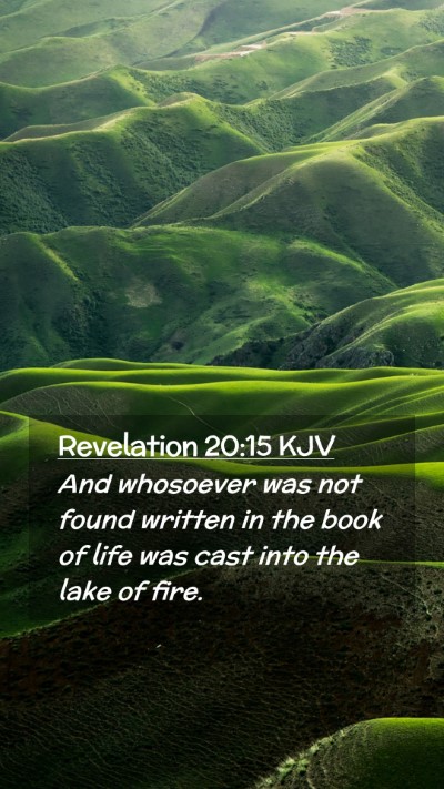 Picture 02 - Revelation 20:15 KJV Mobile Phone Wallpaper - And whosoever was not found written in the book - Mobile Bible Verse Wallpaper