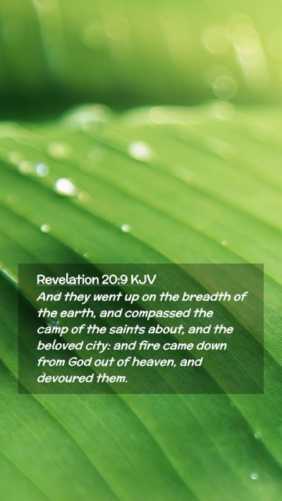 Picture 02 - Revelation 20:9 KJV Mobile Phone Wallpaper - And they went up on the breadth of the earth, and - Mobile Bible Verse Wallpaper