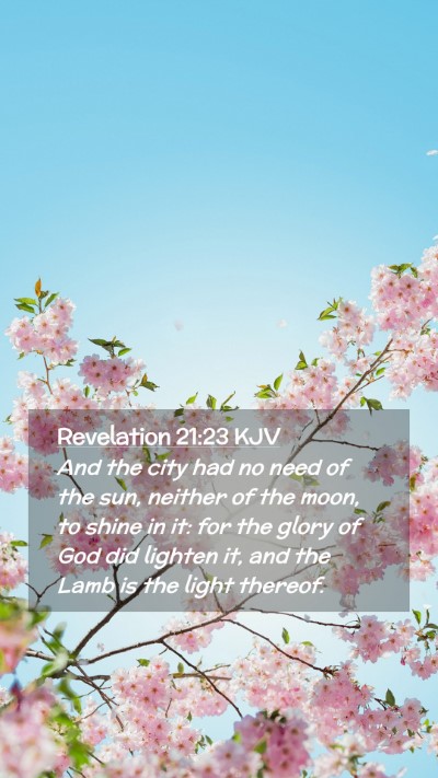 Picture 02 - Revelation 21:23 KJV Mobile Phone Wallpaper - And the city had no need of the sun, neither of - Mobile Bible Verse Wallpaper
