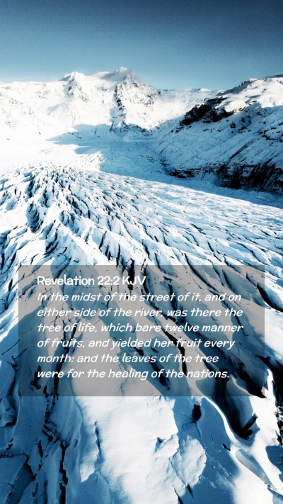 Picture 02 - Revelation 22:2 KJV Mobile Phone Wallpaper - In the midst of the street of it, and on either - Mobile Bible Verse Wallpaper