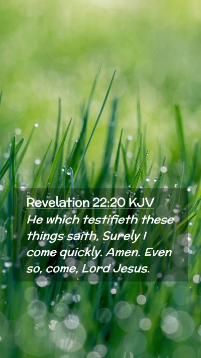 Picture 02 - Revelation 22:20 KJV Mobile Phone Wallpaper - He which testifieth these things saith, Surely I - Mobile Bible Verse Wallpaper
