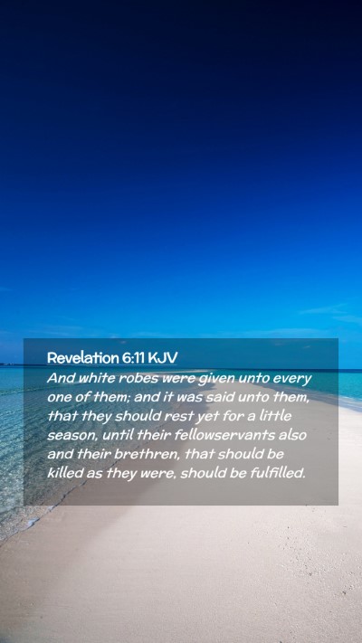 Picture 02 - Revelation 6:11 KJV Mobile Phone Wallpaper - And white robes were given unto every one of - Mobile Bible Verse Wallpaper