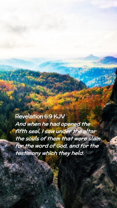 Picture 02 - Revelation 6:9 KJV Mobile Phone Wallpaper - And when he had opened the fifth seal, I saw - Mobile Bible Verse Wallpaper