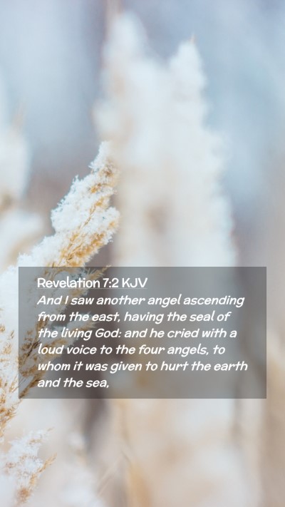 Picture 02 - Revelation 7:2 KJV Mobile Phone Wallpaper - And I saw another angel ascending from the east, - Mobile Bible Verse Wallpaper