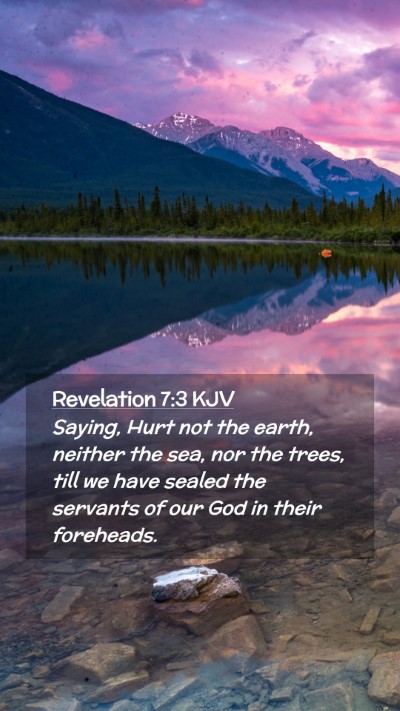 Picture 02 - Revelation 7:3 KJV Mobile Phone Wallpaper - Saying, Hurt not the earth, neither the sea, nor - Mobile Bible Verse Wallpaper
