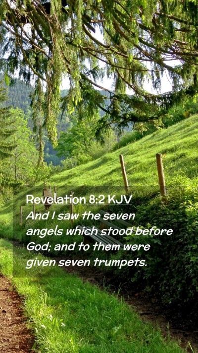 Picture 02 - Revelation 8:2 KJV Mobile Phone Wallpaper - And I saw the seven angels which stood before - Mobile Bible Verse Wallpaper