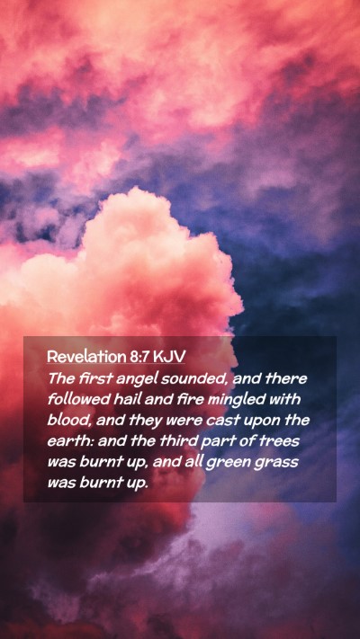 Picture 02 - Revelation 8:7 KJV Mobile Phone Wallpaper - The first angel sounded, and there followed hail - Mobile Bible Verse Wallpaper