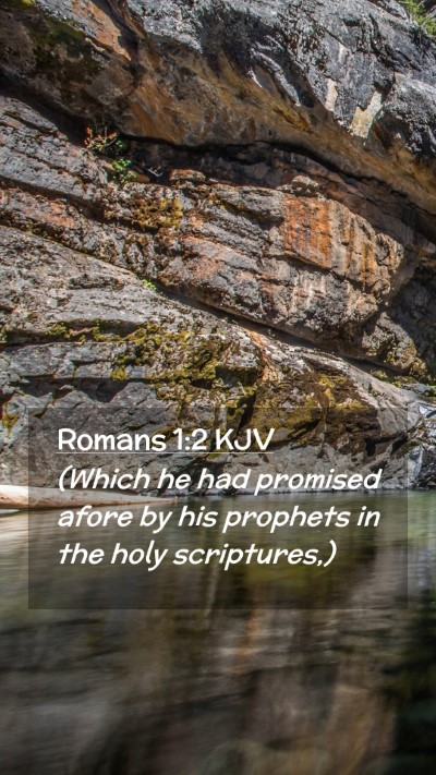 Picture 02 - Romans 1:2 KJV Mobile Phone Wallpaper - (Which he had promised afore by his prophets in - Mobile Bible Verse Wallpaper