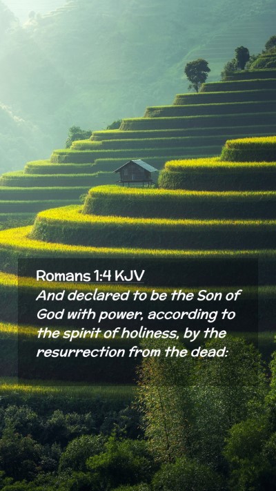 Picture 02 - Romans 1:4 KJV Mobile Phone Wallpaper - And declared to be the Son of God with power, - Mobile Bible Verse Wallpaper