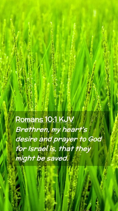 Picture 02 - Romans 10:1 KJV Mobile Phone Wallpaper - Brethren, my heart's desire and prayer to God for - Mobile Bible Verse Wallpaper