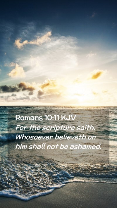 Picture 02 - Romans 10:11 KJV Mobile Phone Wallpaper - For the scripture saith, Whosoever believeth on - Mobile Bible Verse Wallpaper
