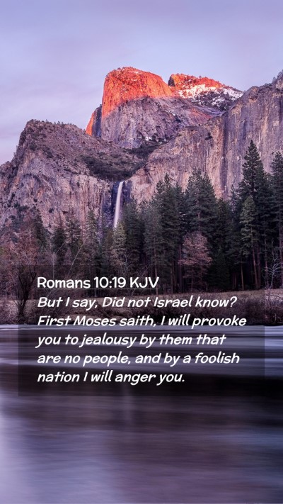 Picture 02 - Romans 10:19 KJV Mobile Phone Wallpaper - But I say, Did not Israel know? First Moses - Mobile Bible Verse Wallpaper