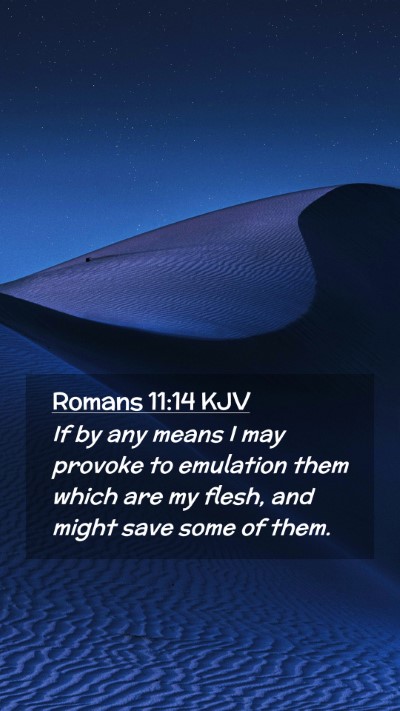 Picture 02 - Romans 11:14 KJV Mobile Phone Wallpaper - If by any means I may provoke to emulation them - Mobile Bible Verse Wallpaper