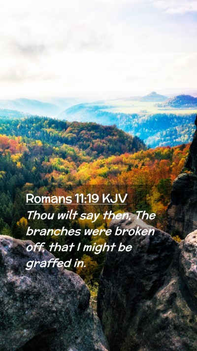 Picture 02 - Romans 11:19 KJV Mobile Phone Wallpaper - Thou wilt say then, The branches were broken off, - Mobile Bible Verse Wallpaper