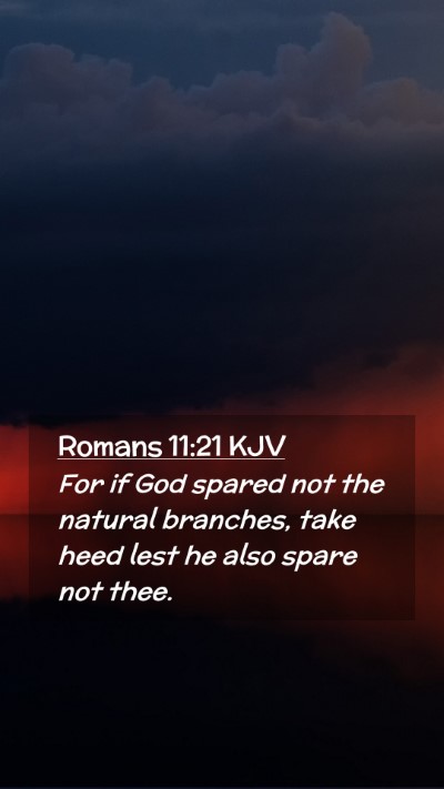 Picture 02 - Romans 11:21 KJV Mobile Phone Wallpaper - For if God spared not the natural branches, take - Mobile Bible Verse Wallpaper
